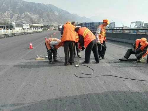 临海道路桥梁病害治理